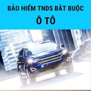 Bao hiem trach nhiem dan su bat buoc xe o to