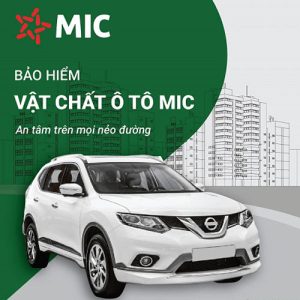 bao hiem than vo o to mic