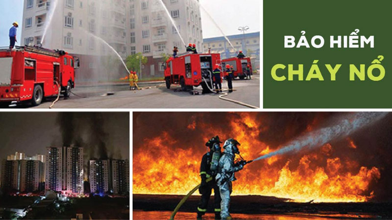 công ty bảo hiểm